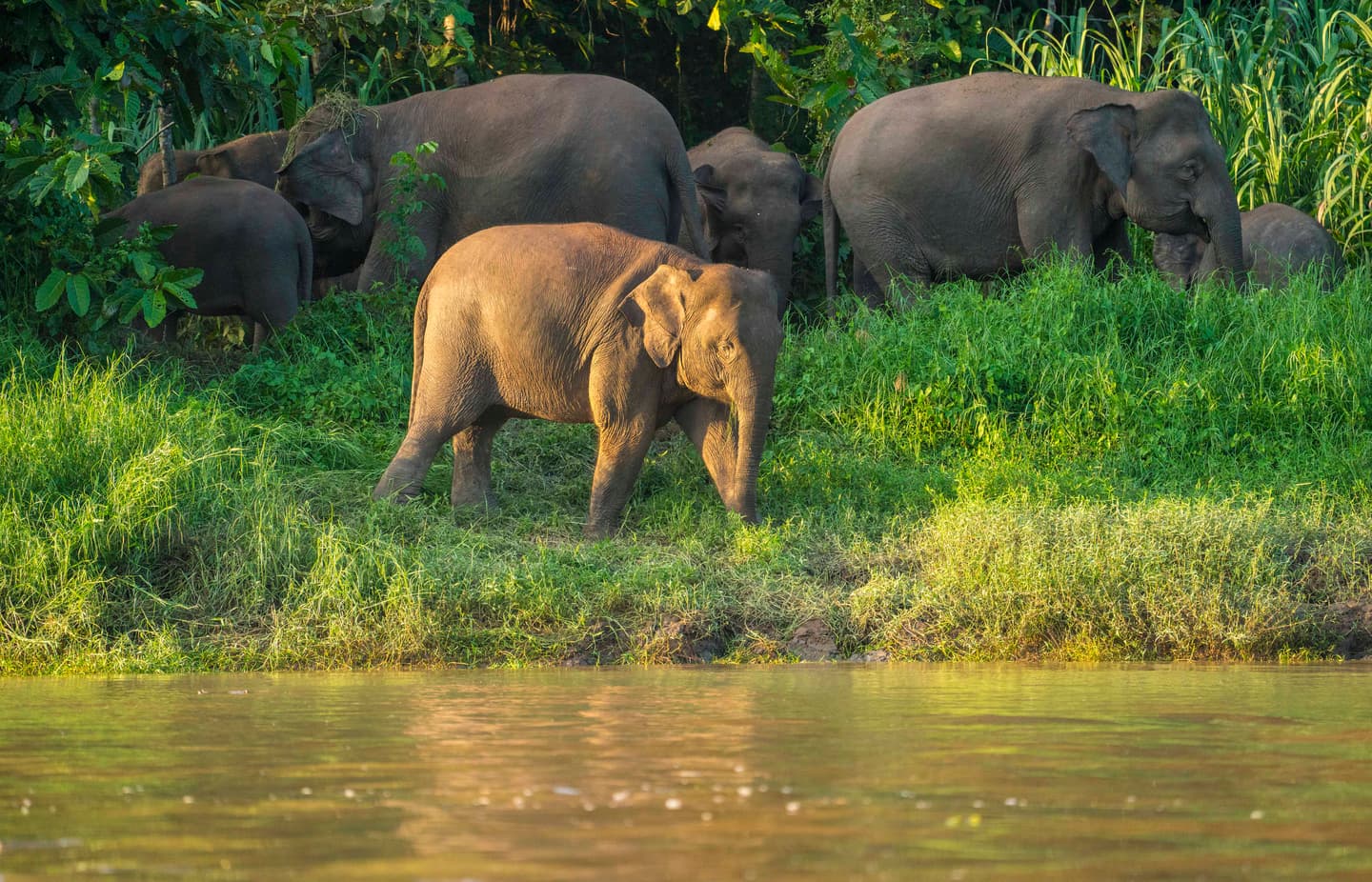 Getty Images/DavorLovincic