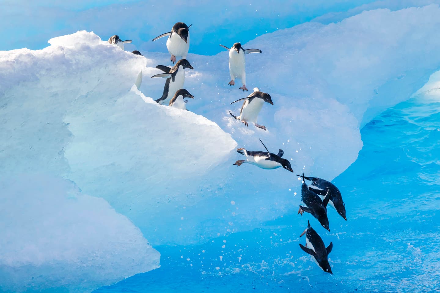 Getty Images/Andrew Peacock