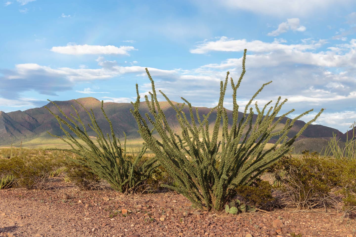 Getty Images/Aaronnystrom