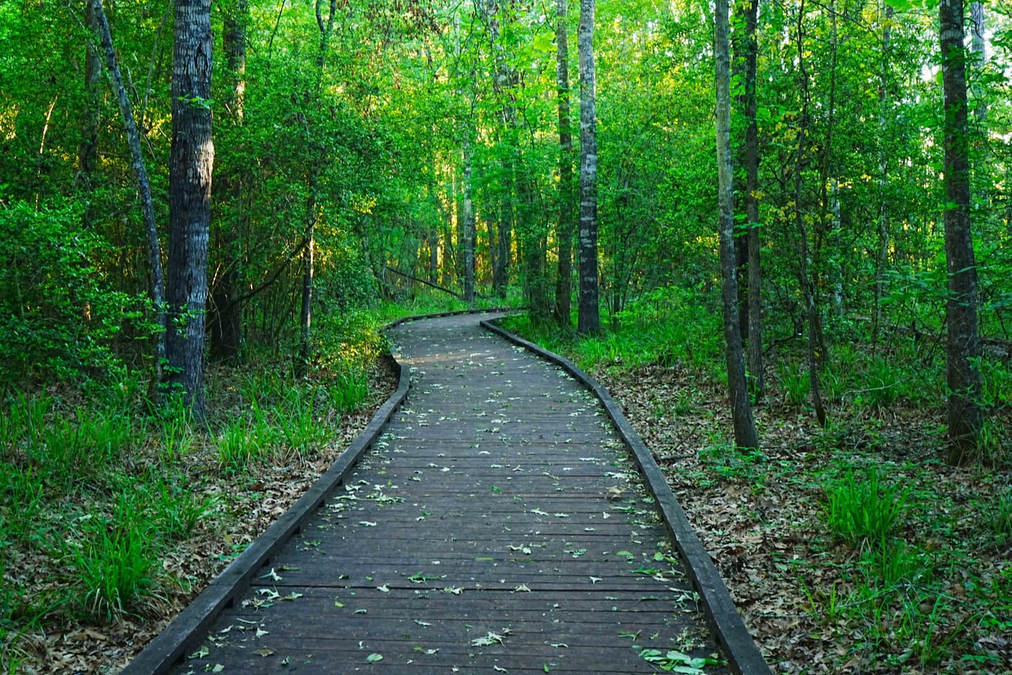 Getty Images/David Radzieta