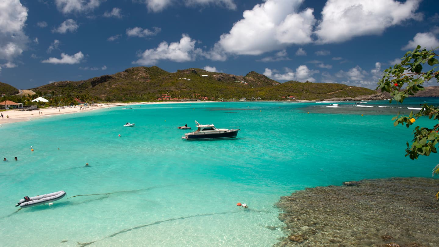 Territorial Tourism Committee of St. Barts