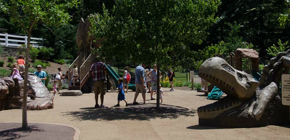 Photo courtesy of the zoo