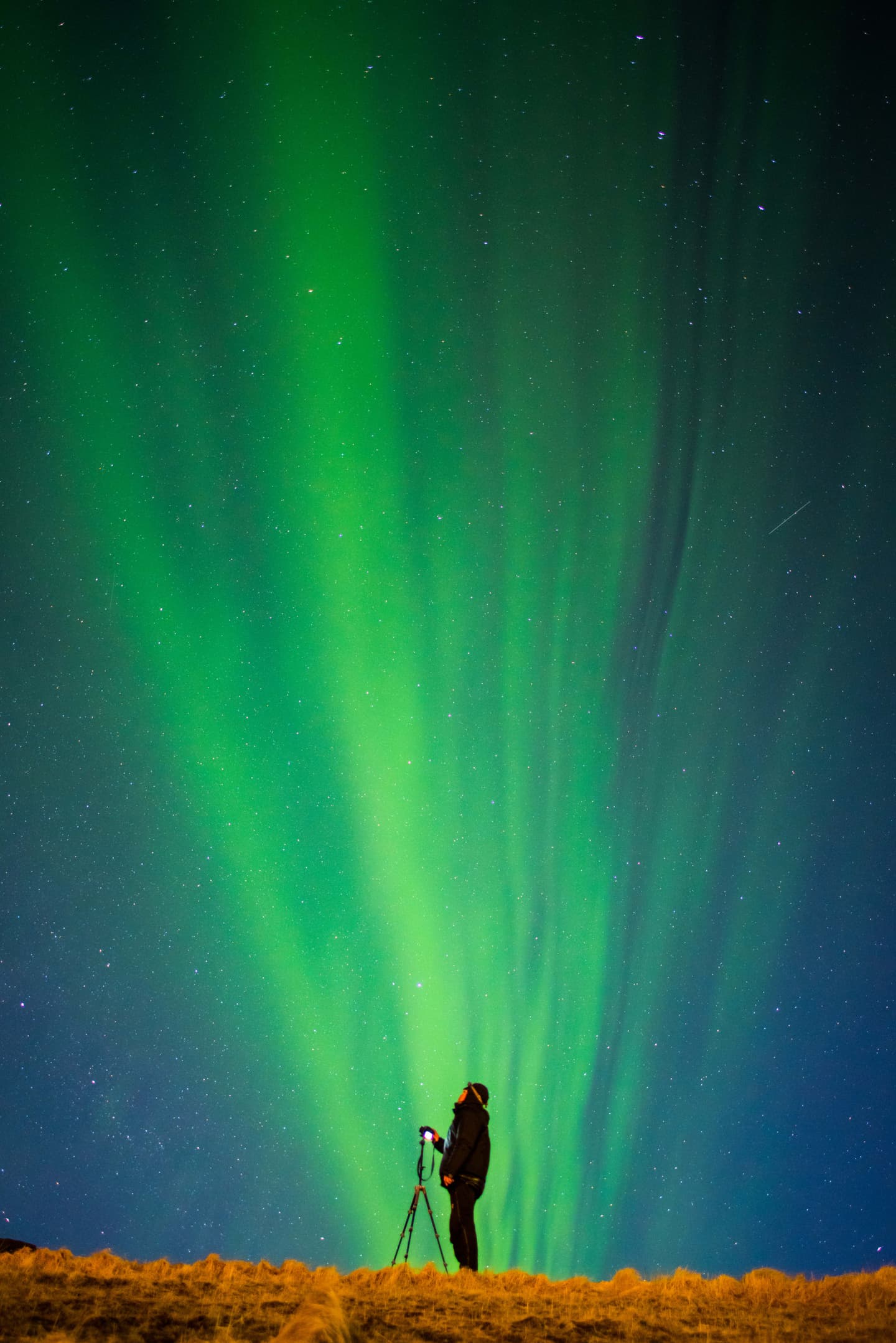 Getty Images/​​mantaphoto