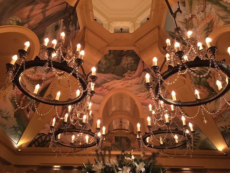 Flickr/Steven Miller