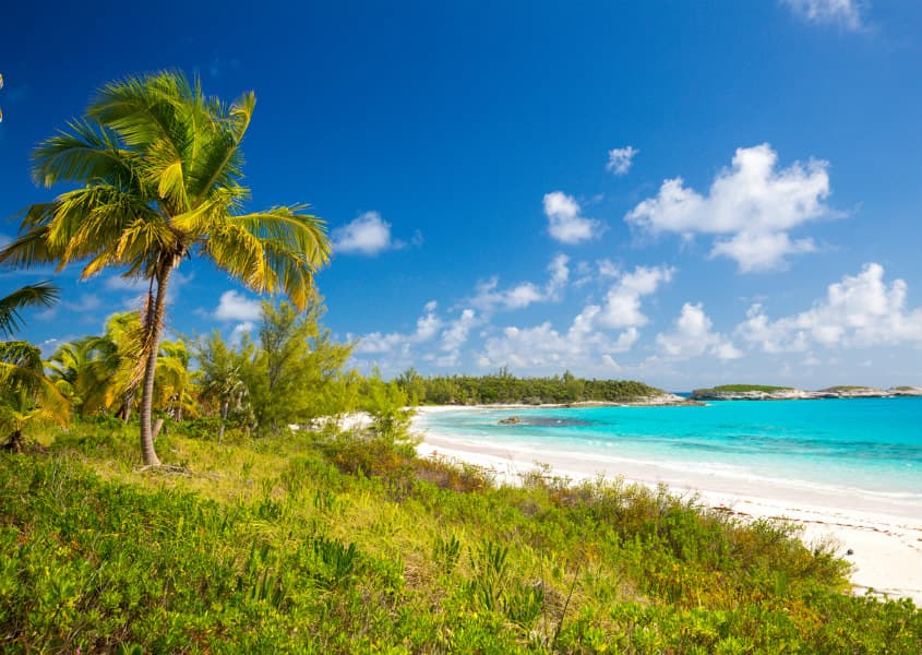 iStock / erikruthoff