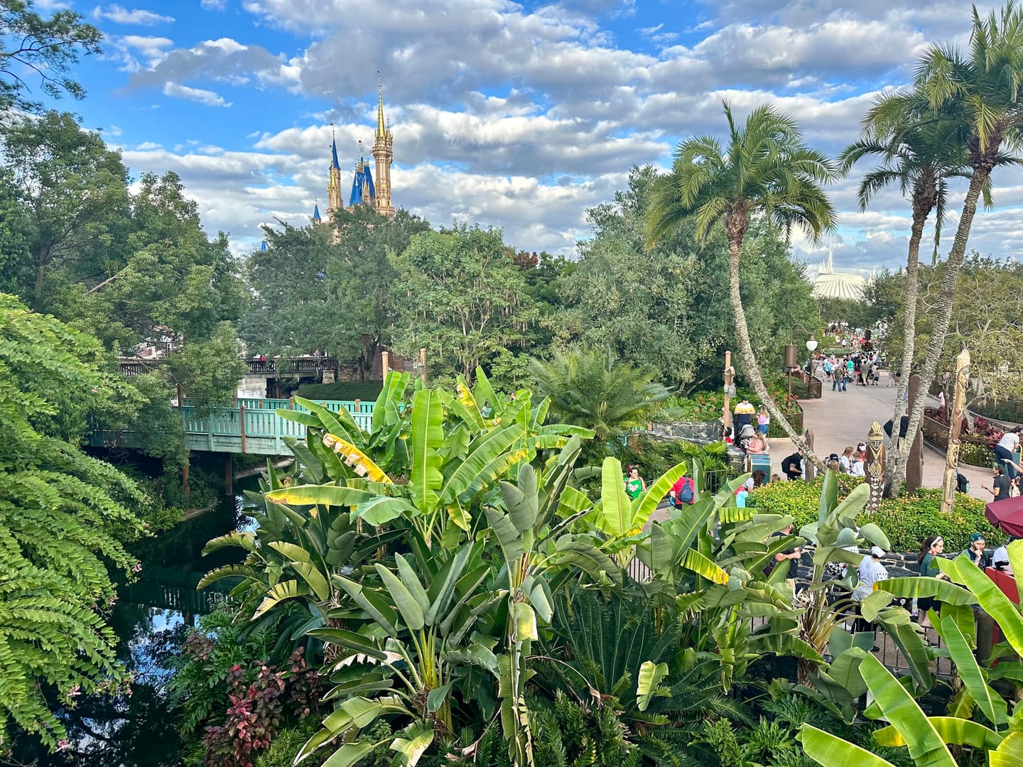 Courtesy of the author