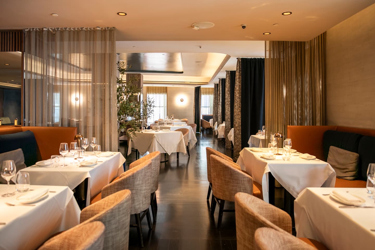 Courtesy of The Knickerbocker