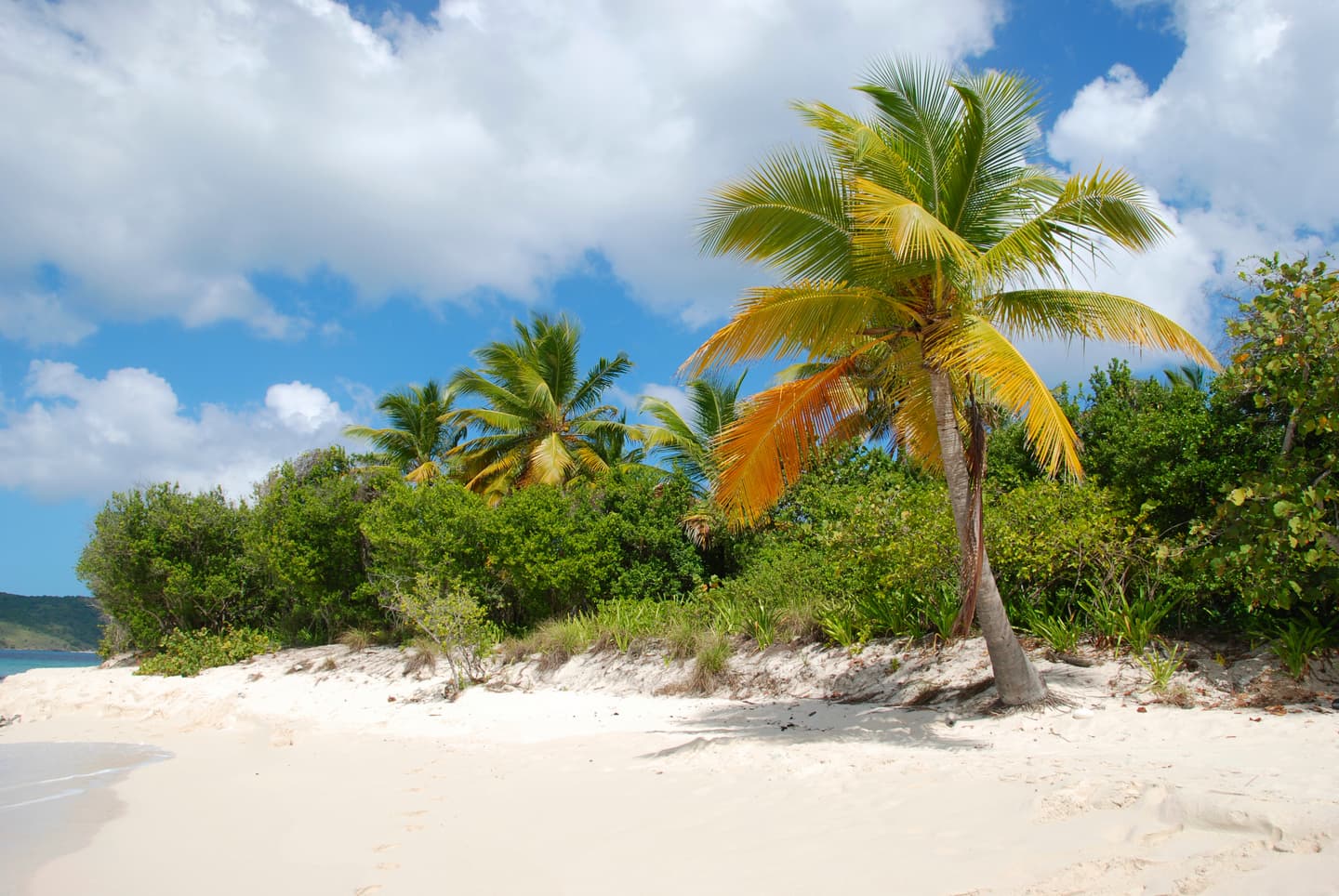 iStock.com / joelblit