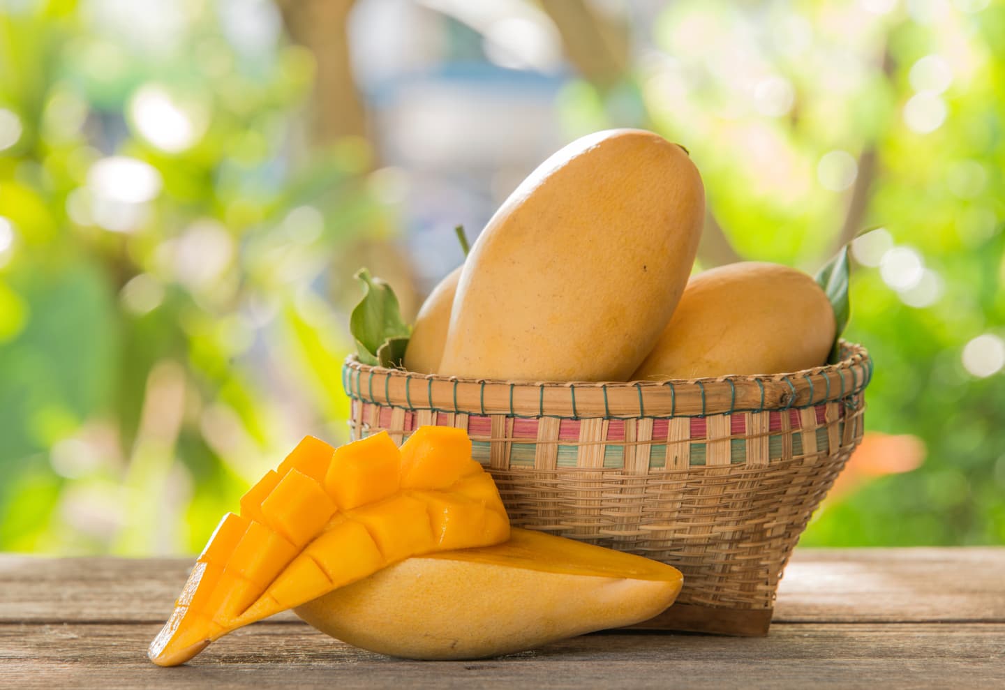 iStock.com / utah778