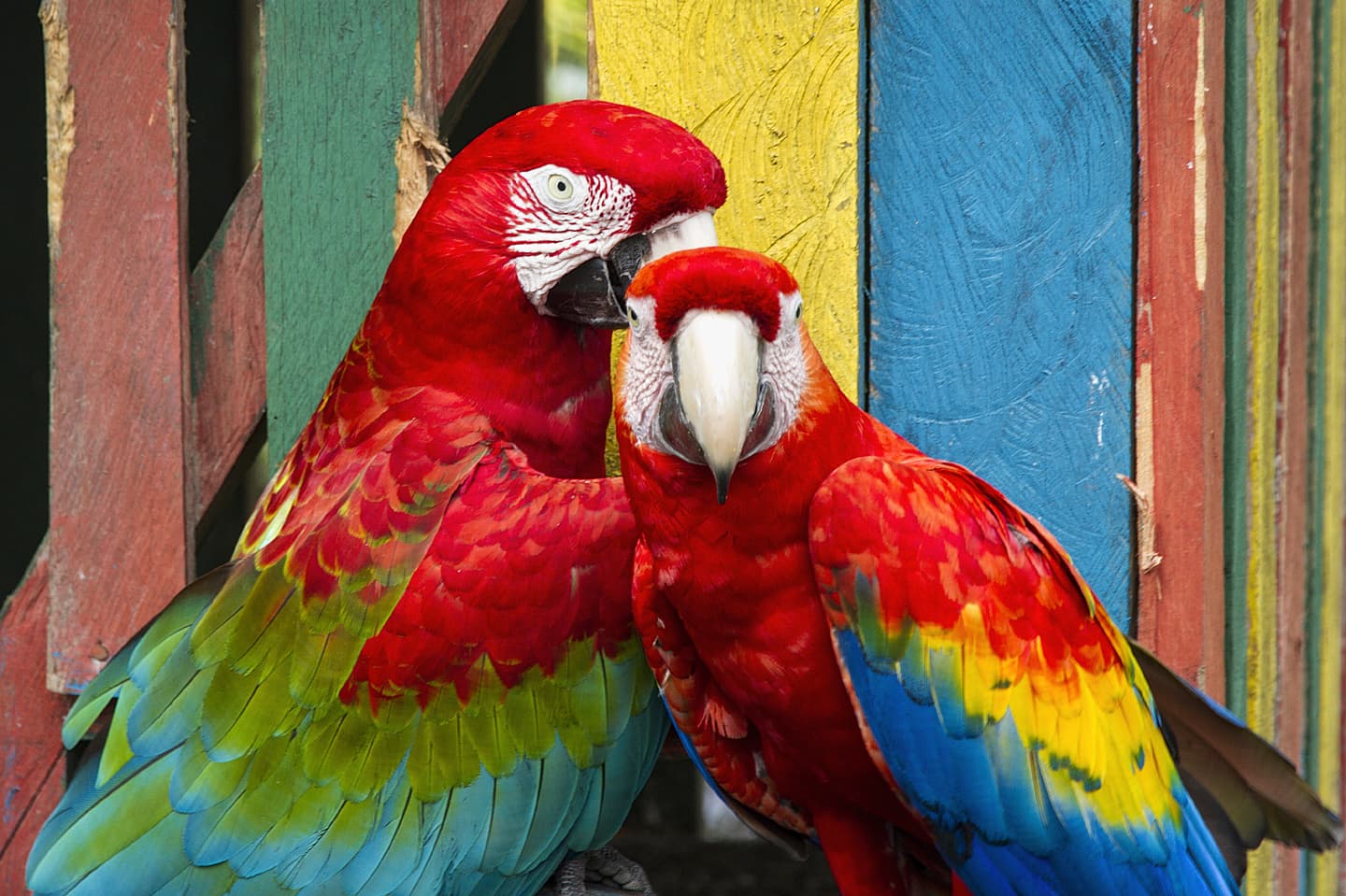 iStock.com / Viaggiare