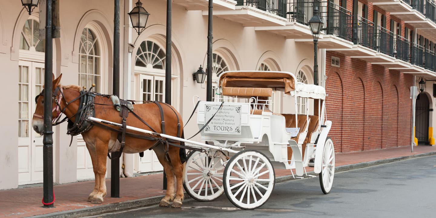 iStock.com /  Natalia Bratslavsky