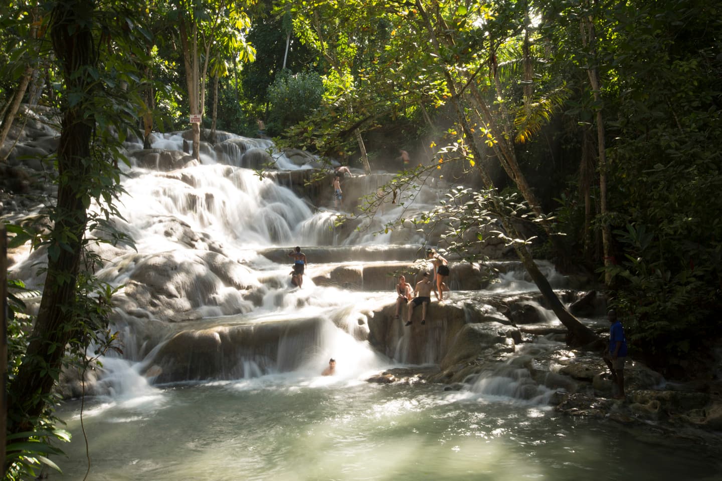Royal Caribbean International 