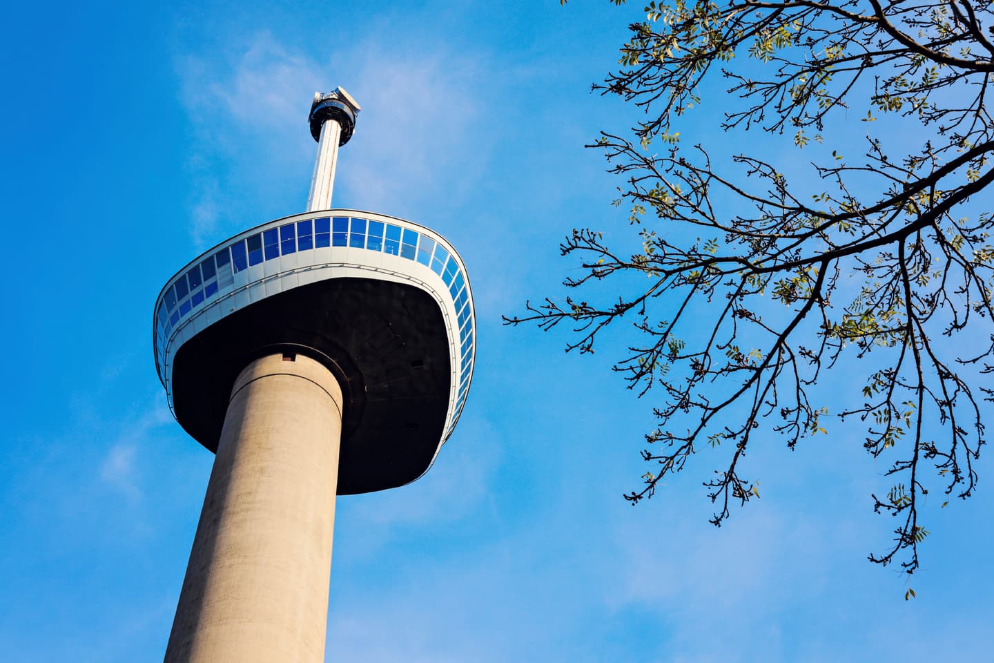 iStock.com / benkrut