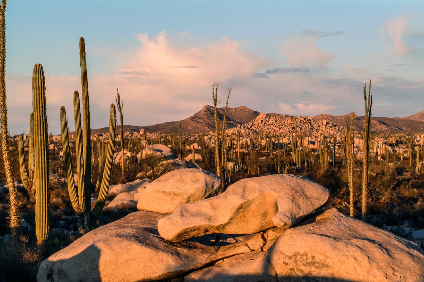 iStock.com / Sam Camp