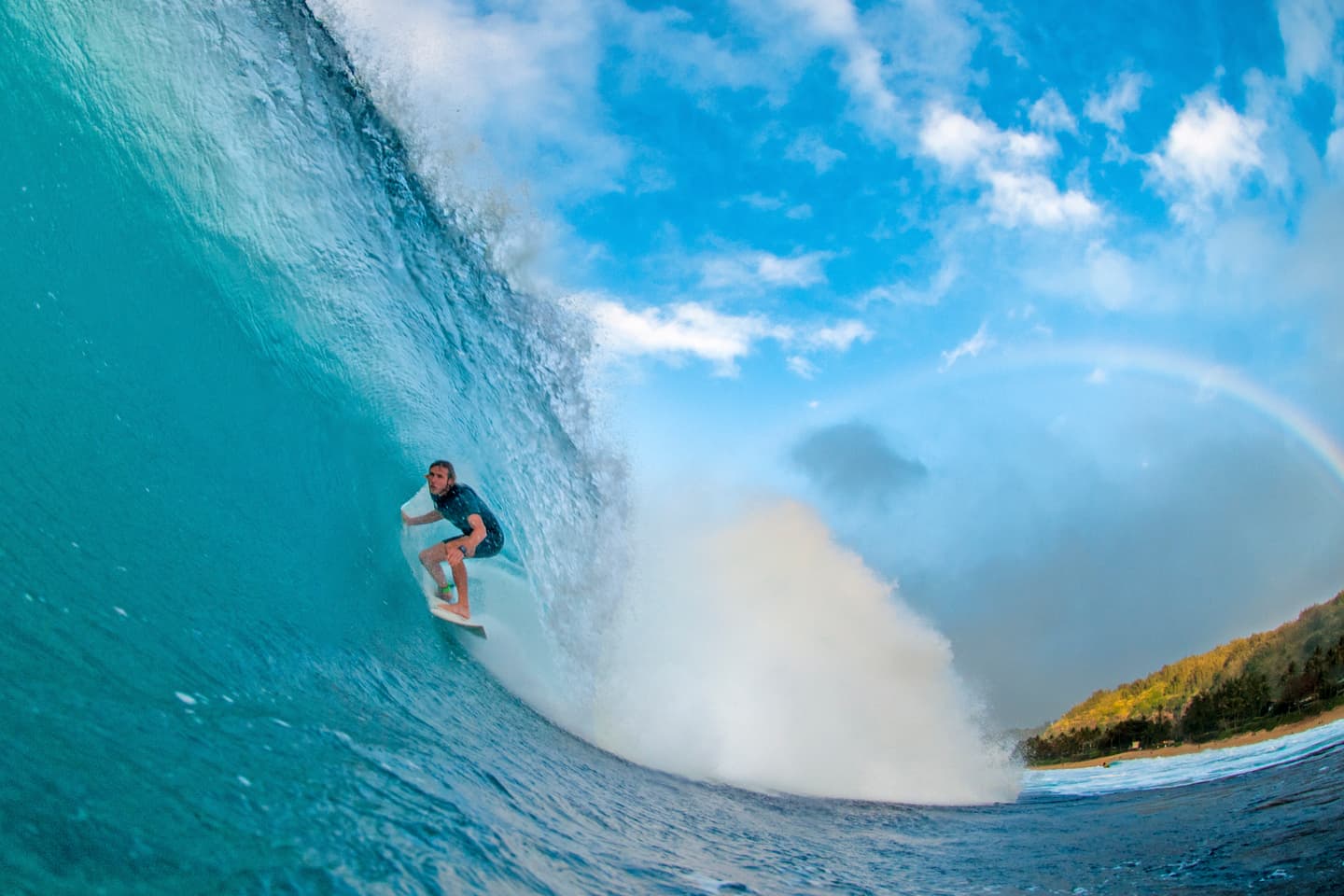 iStock.com / Daniel_Goldin