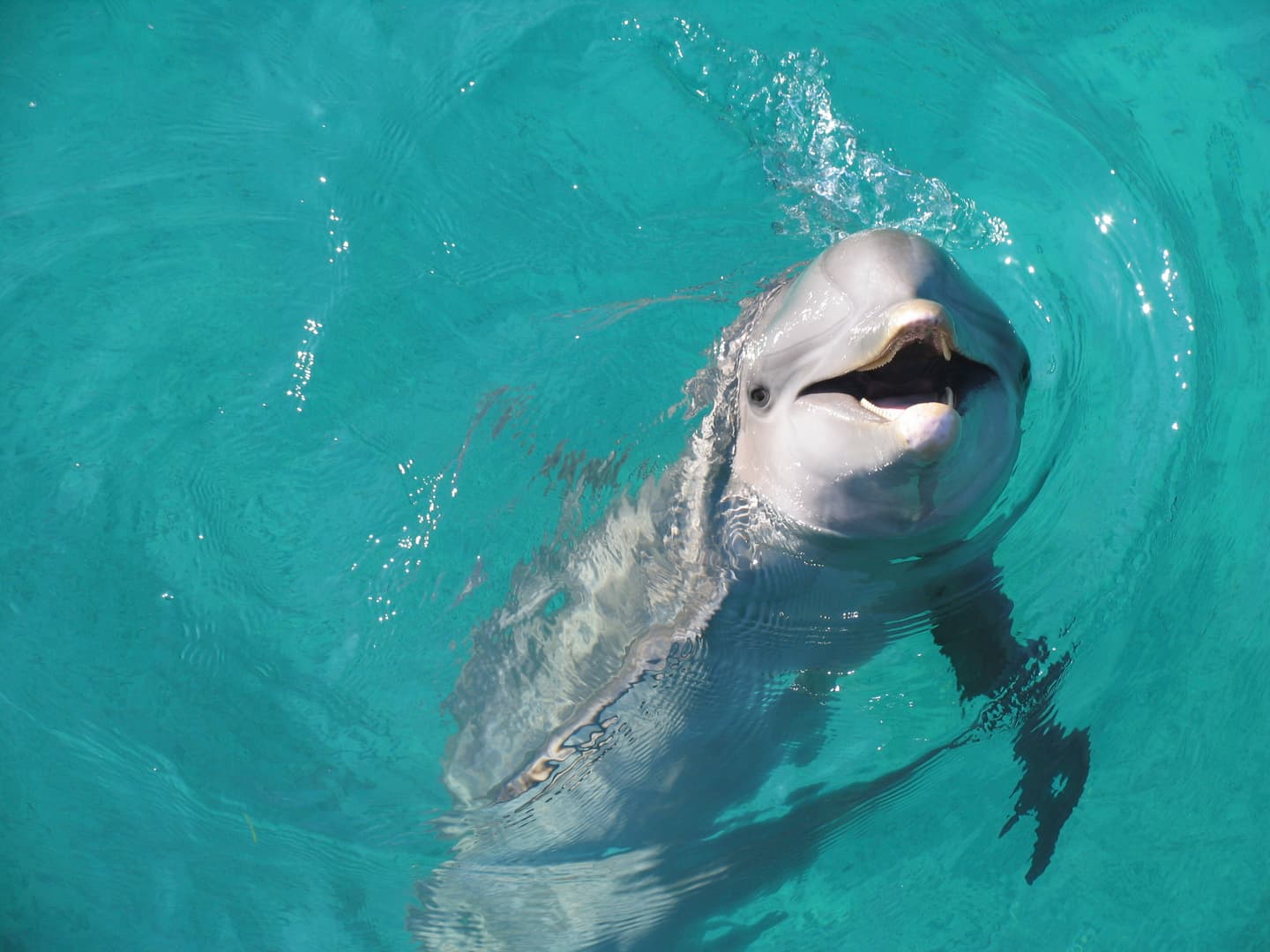 iStock.com / ayshaa68