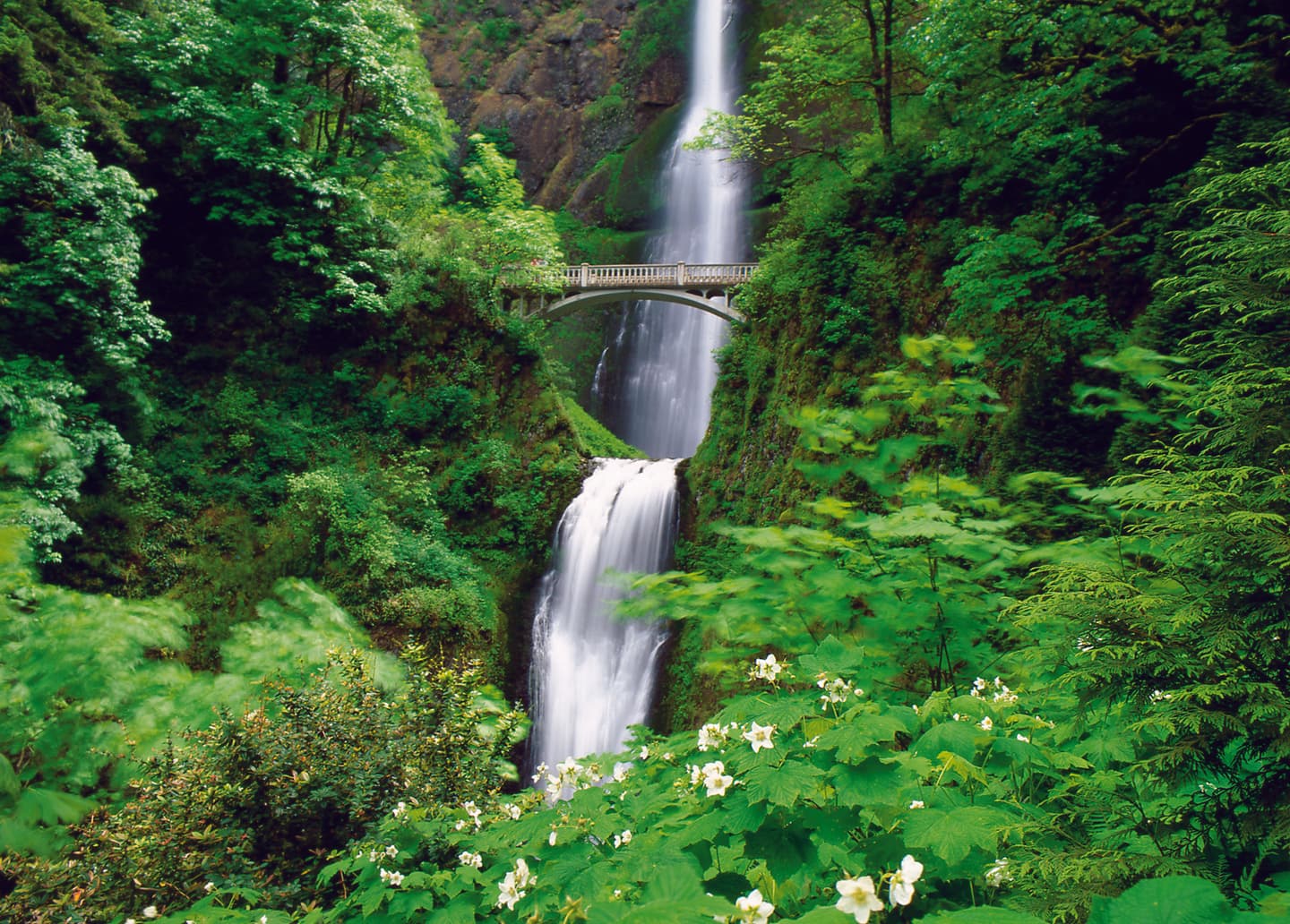 American Queen Voyages