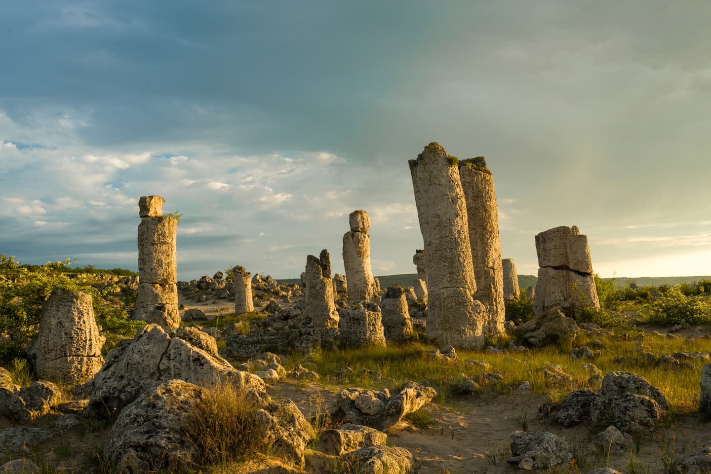 iStock.com / DiyanaDimitrova