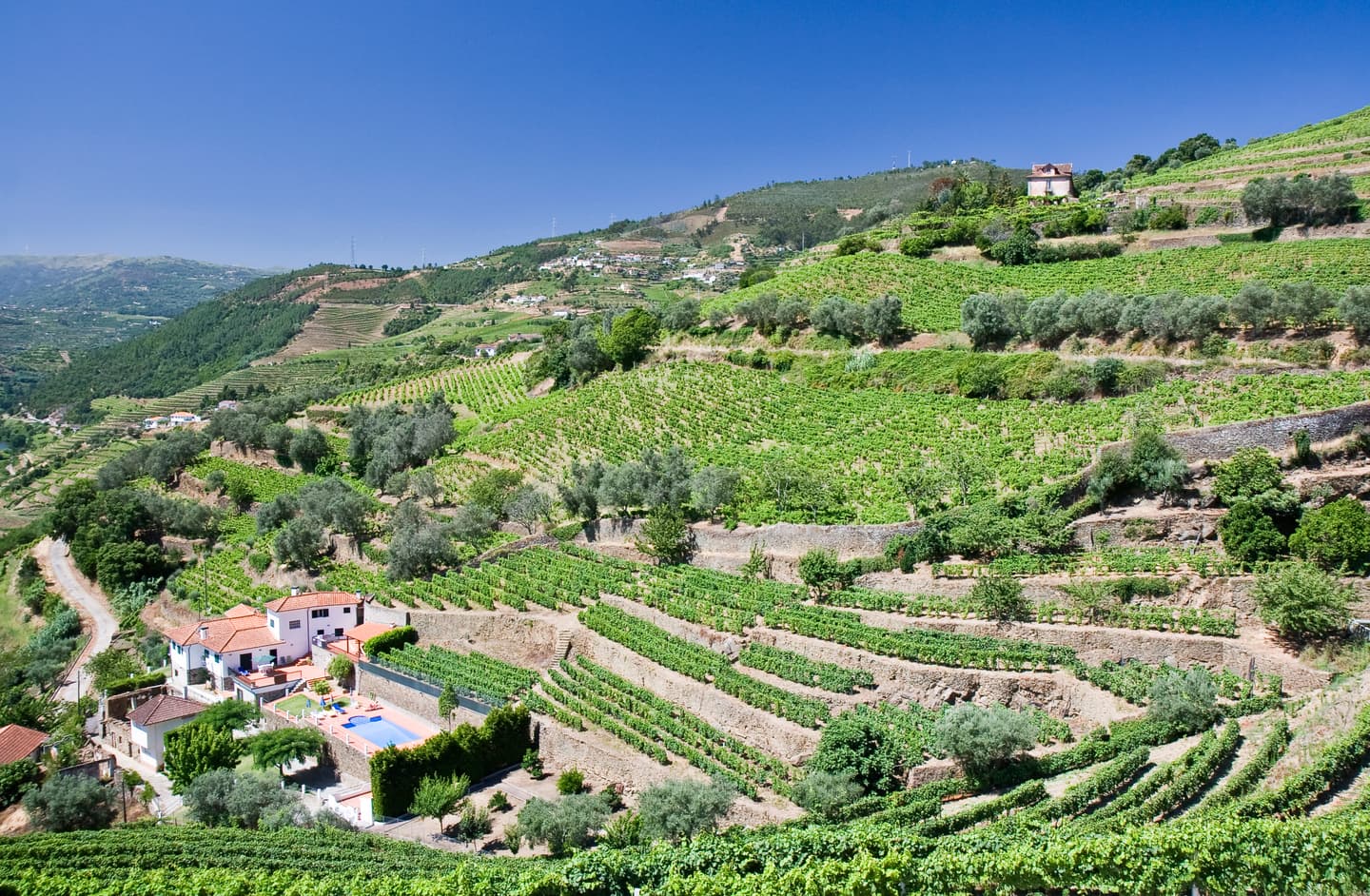 iStock.com / ribeiroantonio