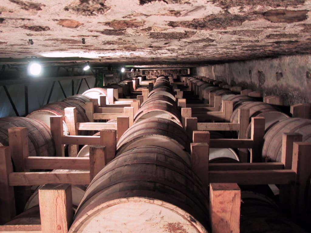 iStock.com / pixfana