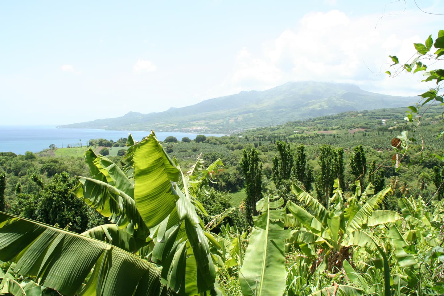 iStock.com / sigurcamp