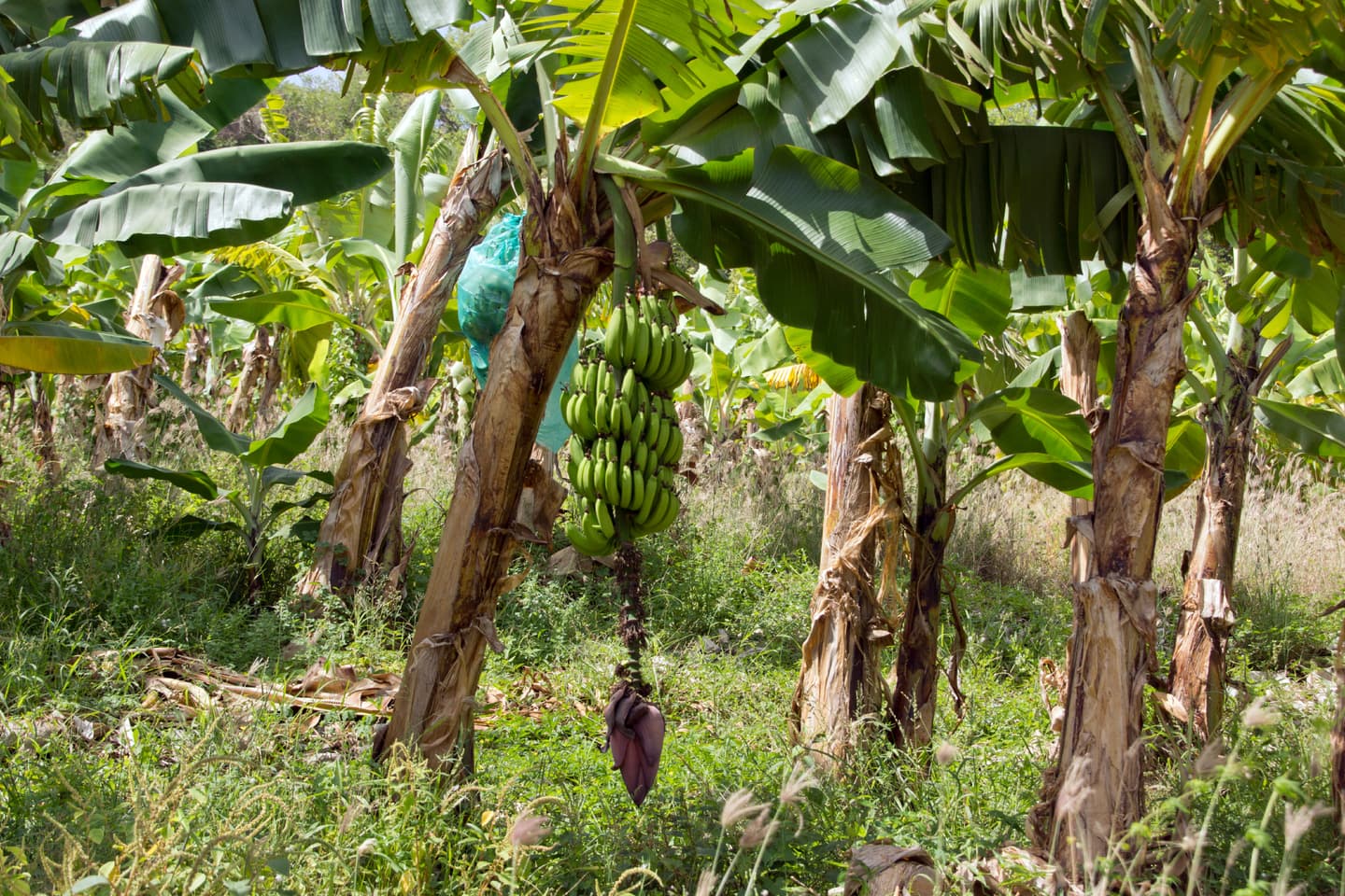 iStock.com / kelifamily