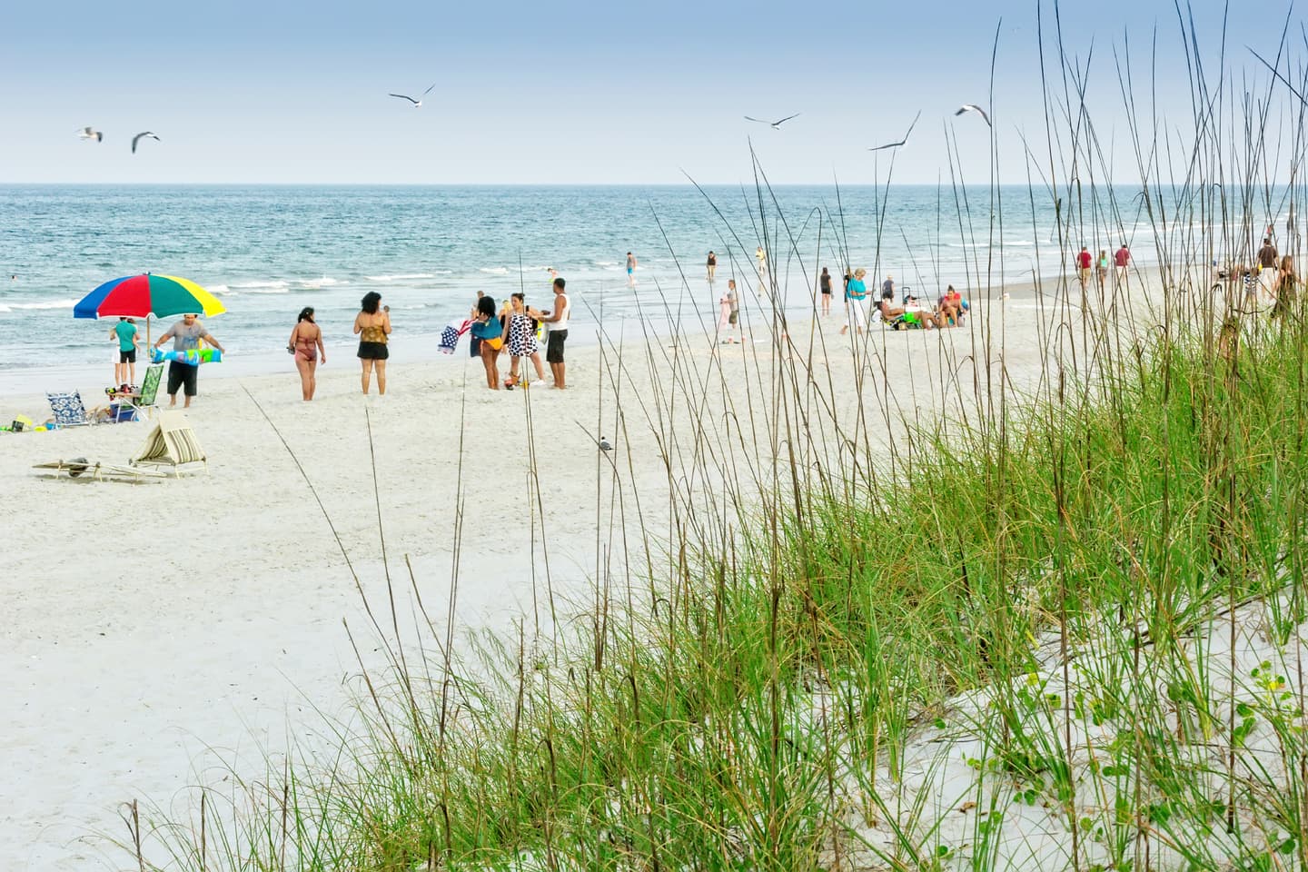 iStock.com / fallbrook