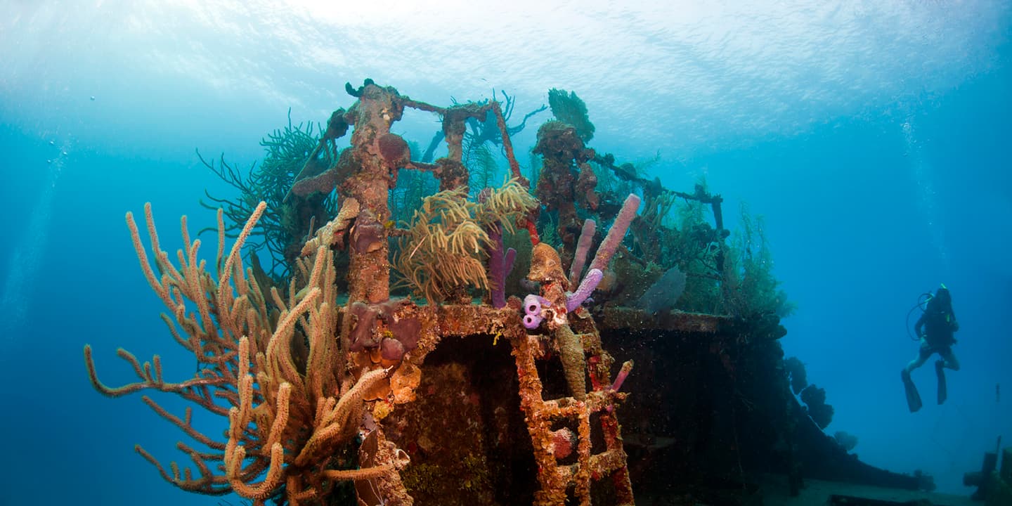 iStock.com / johnandersonphoto