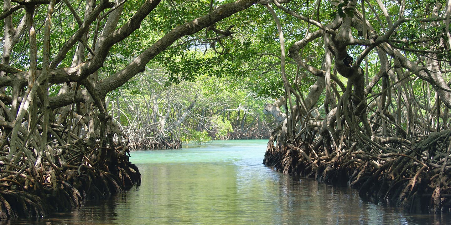 iStock.com / RoatanTrav