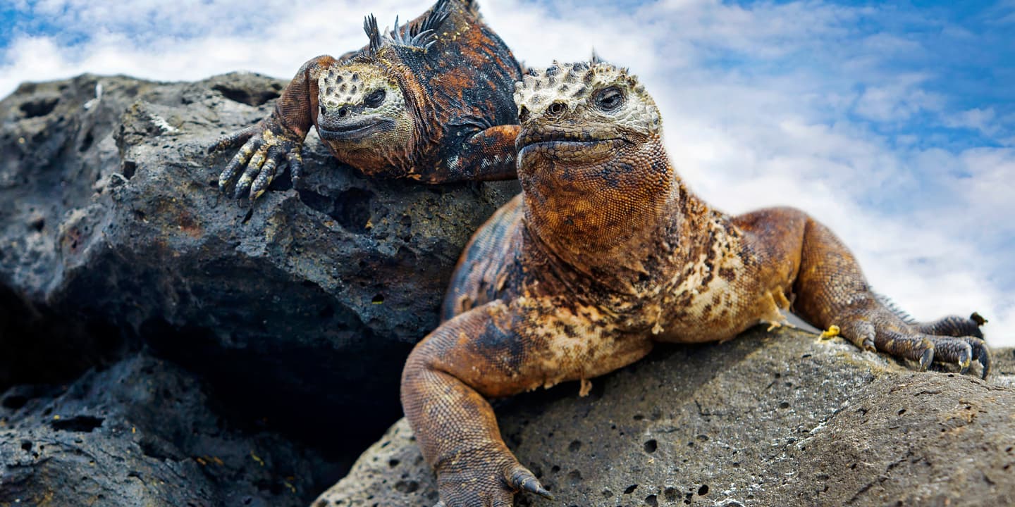 iStock.com / kjorgen