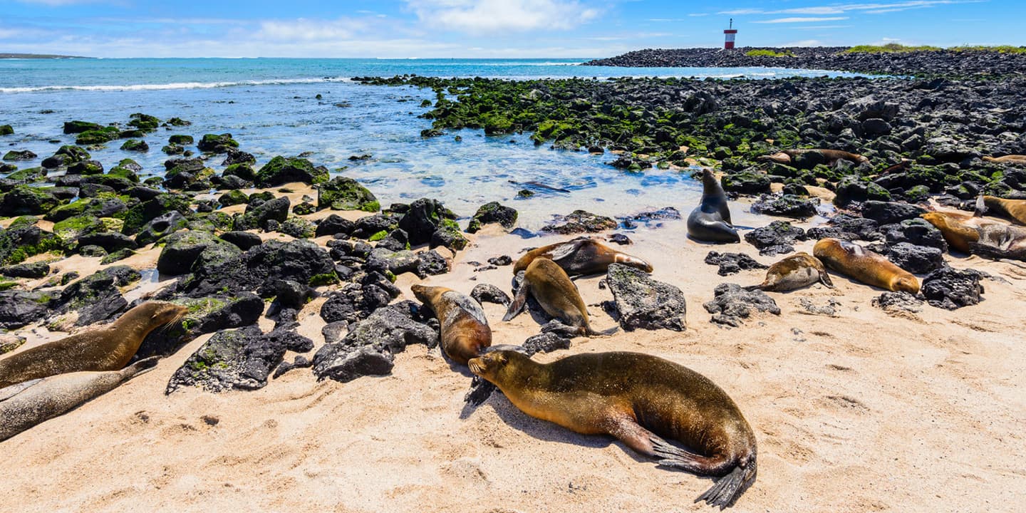 iStock.com / AlbertoLoyo