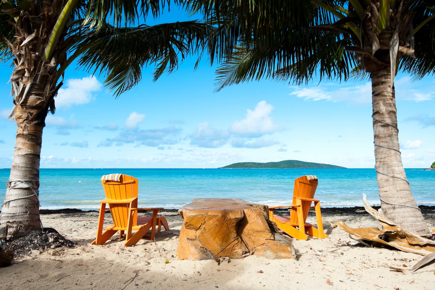 iStock.com / Wyattphotographs