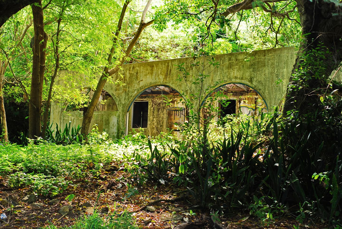 iStock.com / JulieHewitt