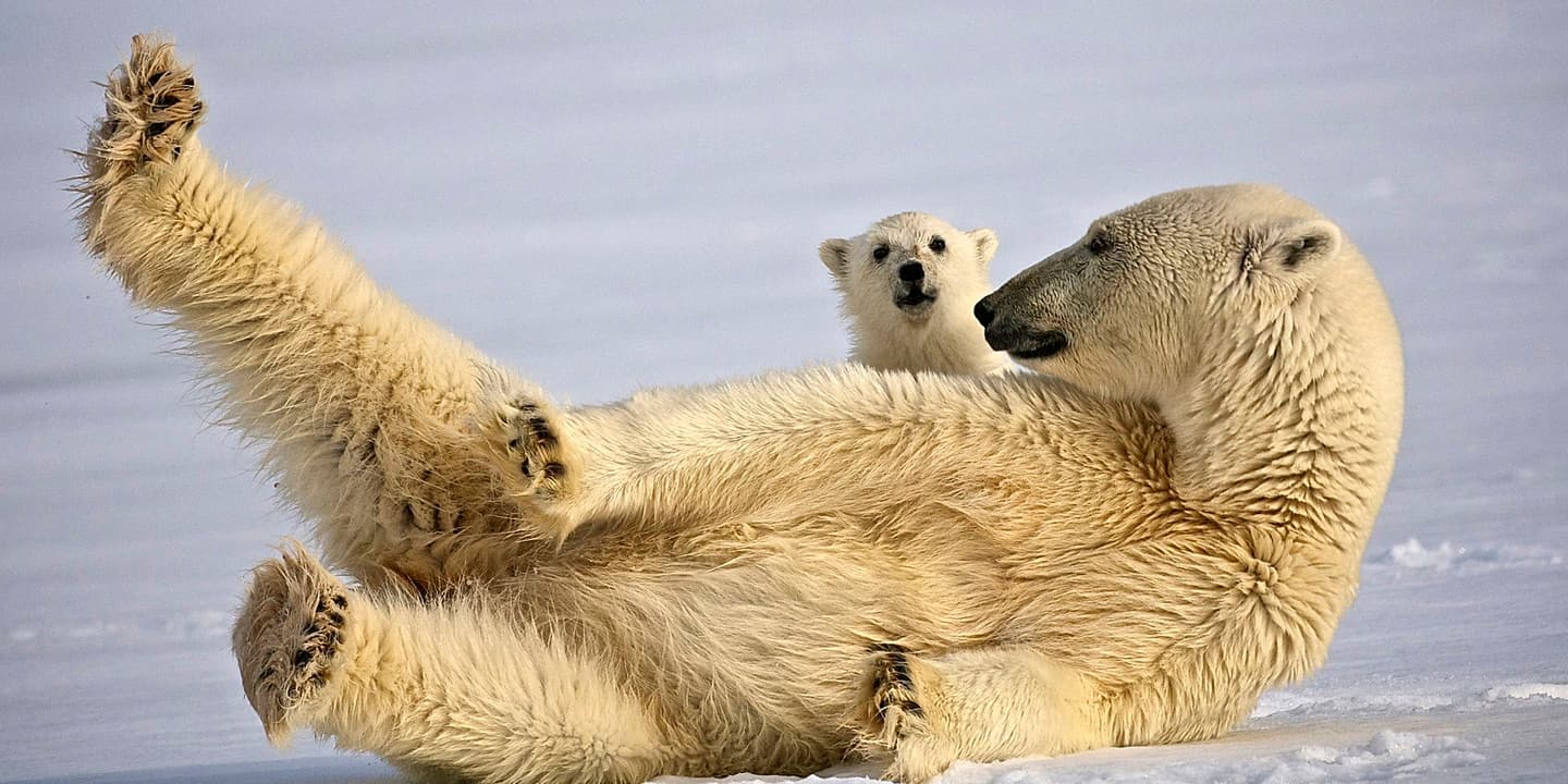 Hurtigruten / Dominic-Barrington