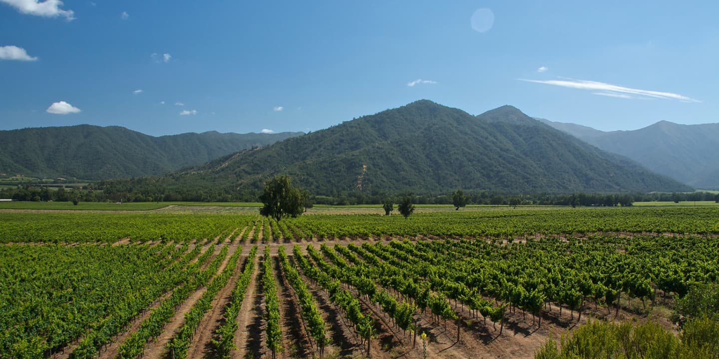 iStock.com / Christopher Salerno