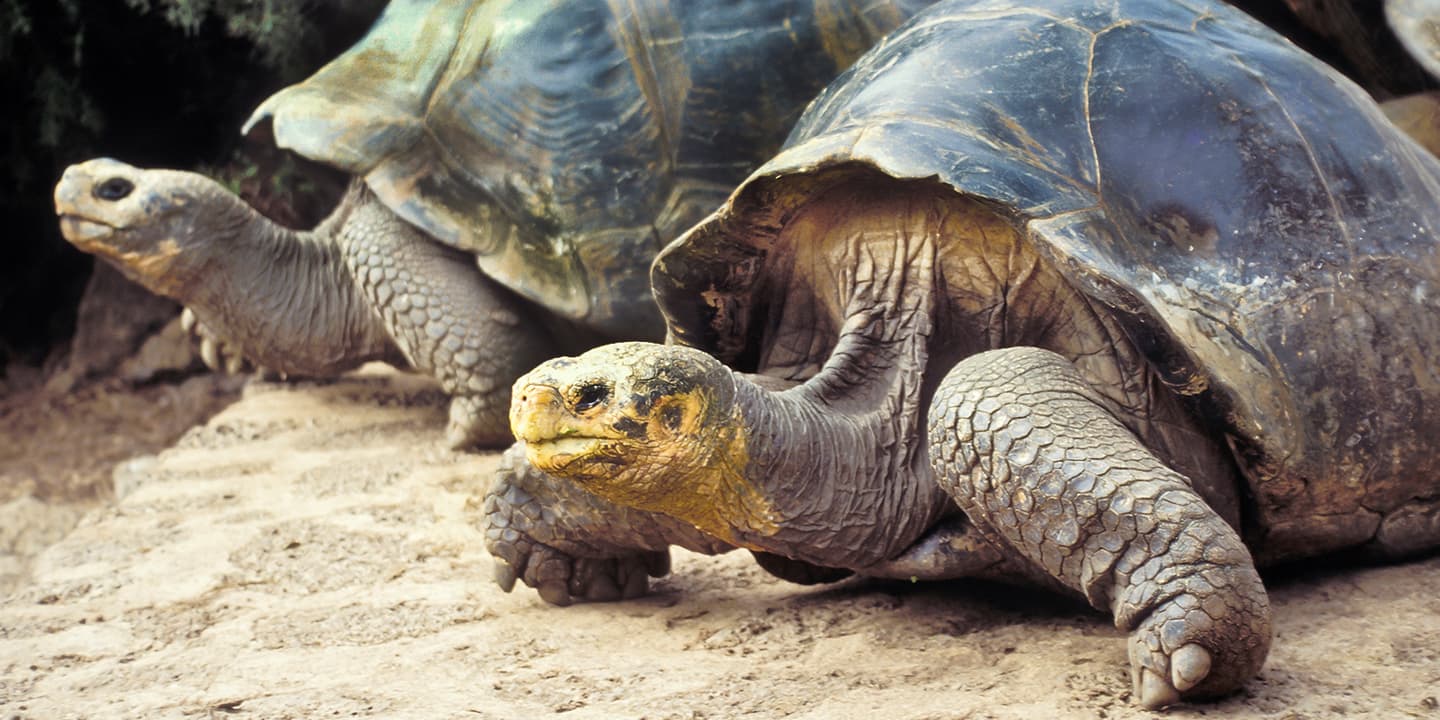 iStock.com / pb_pictures