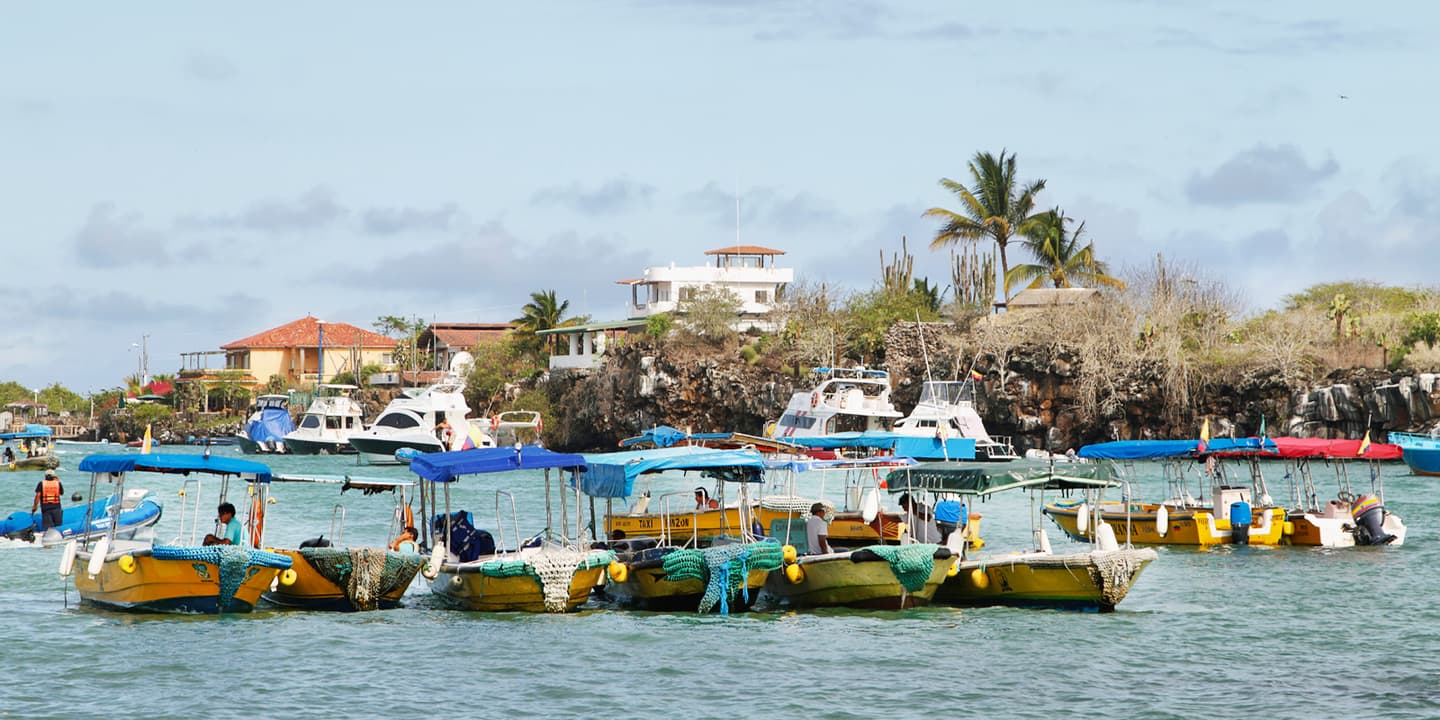 iStock.com / estivillml