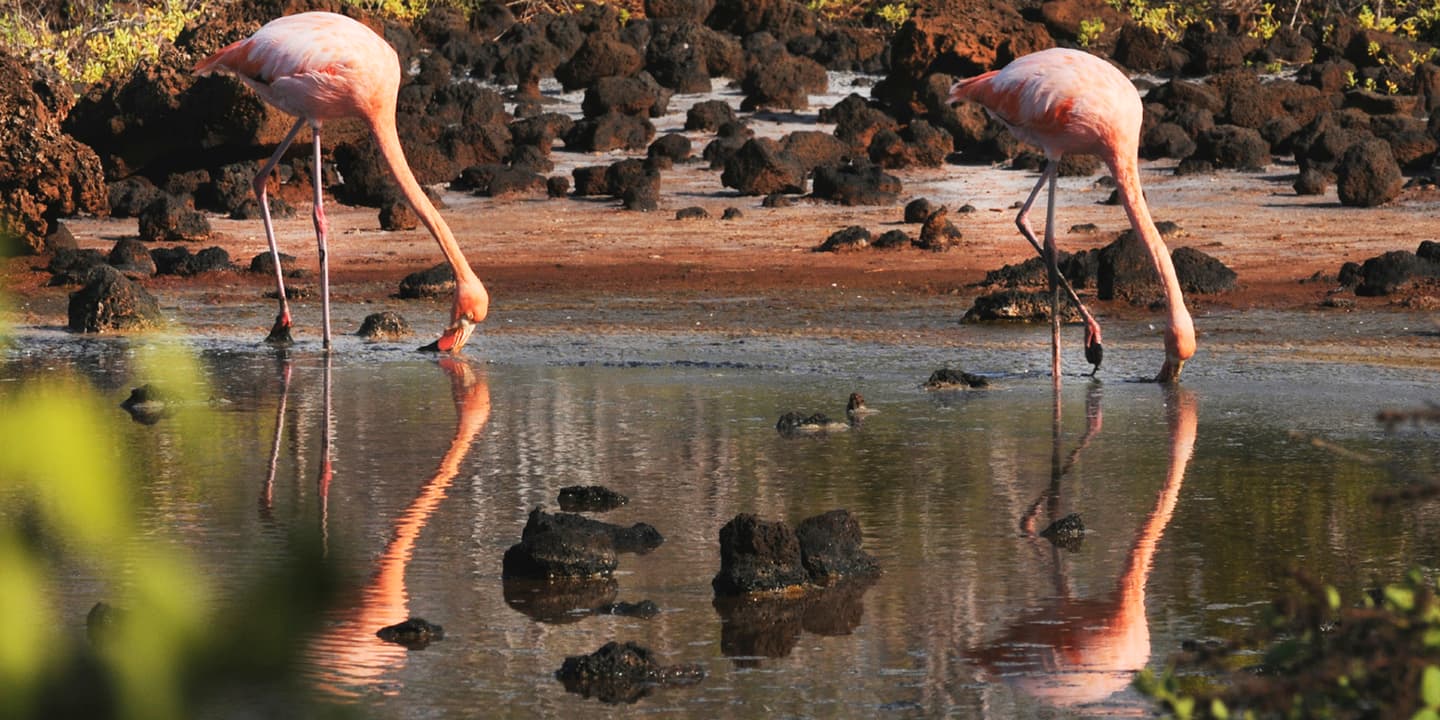 iStock.com / Joseph Graham Coutts