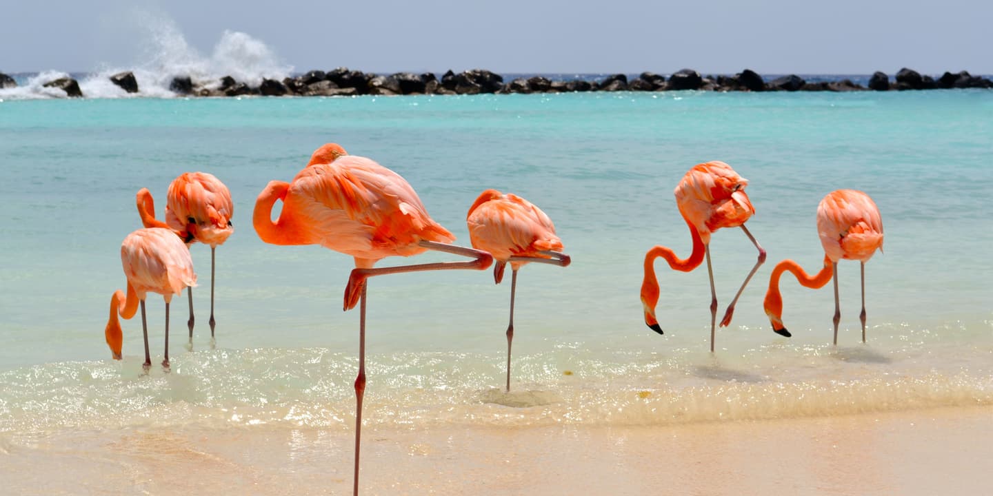 Renaissance Aruba Private Island