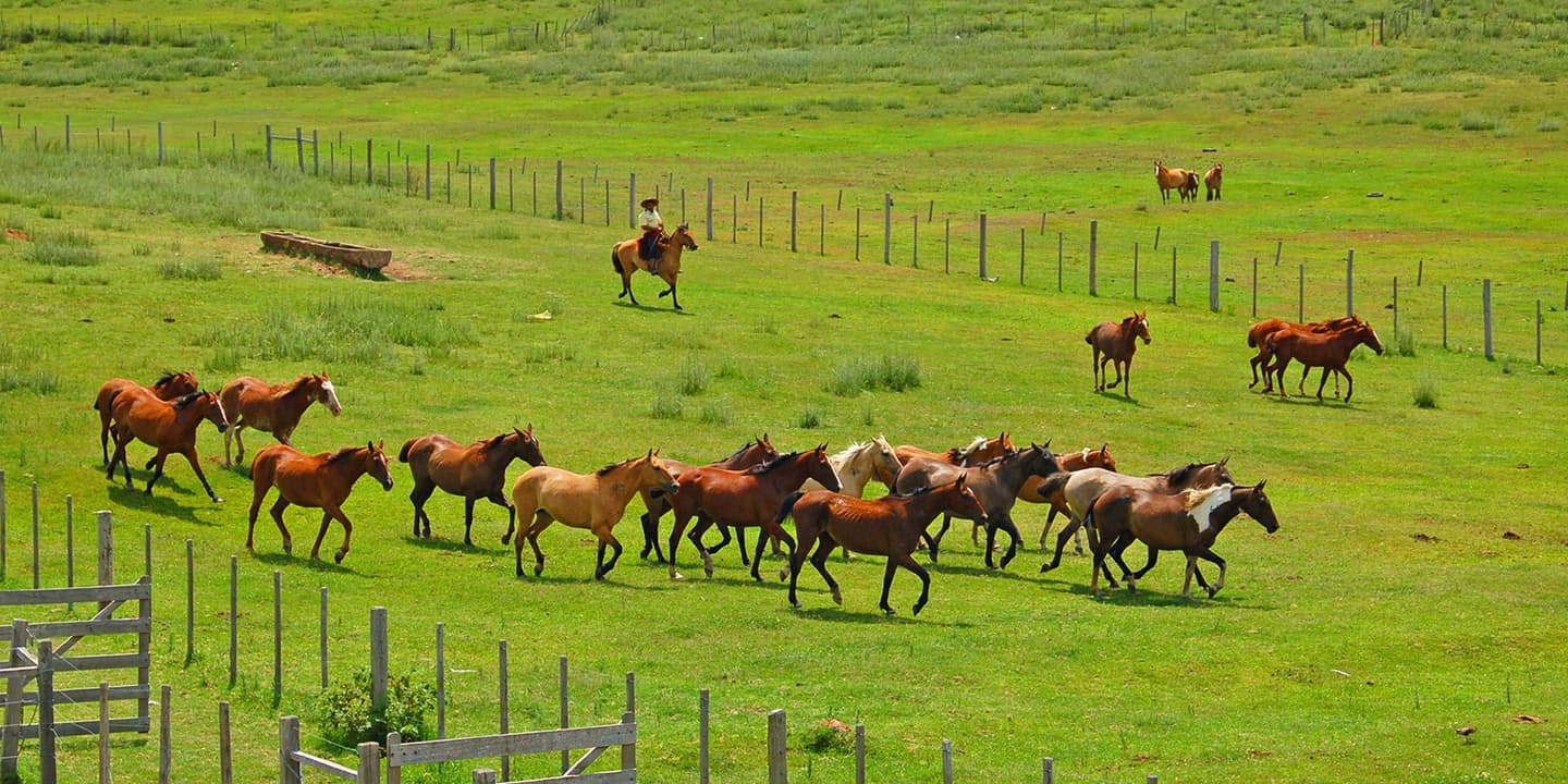 flickr.com / Eduardo Amorim