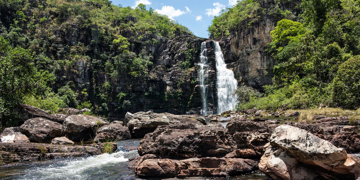 iStock.com / Meinzahn