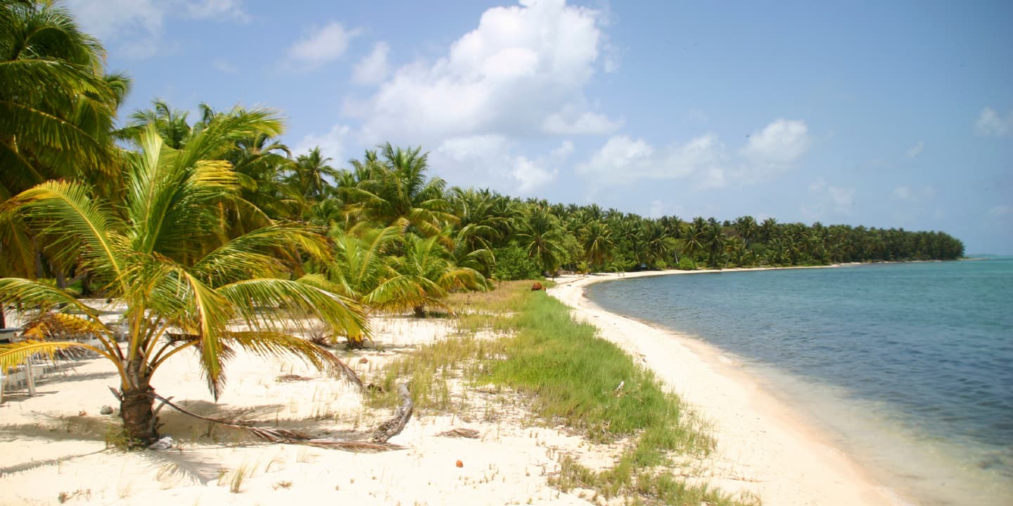 iStock.com / craigchiassonphotography