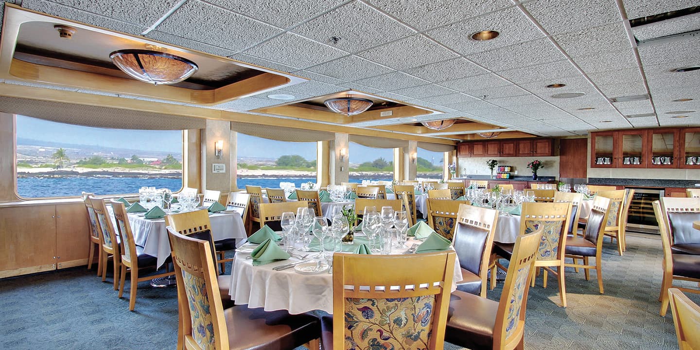 Un-Cruise Adventures