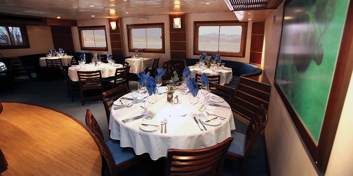 Un-Cruise Adventures