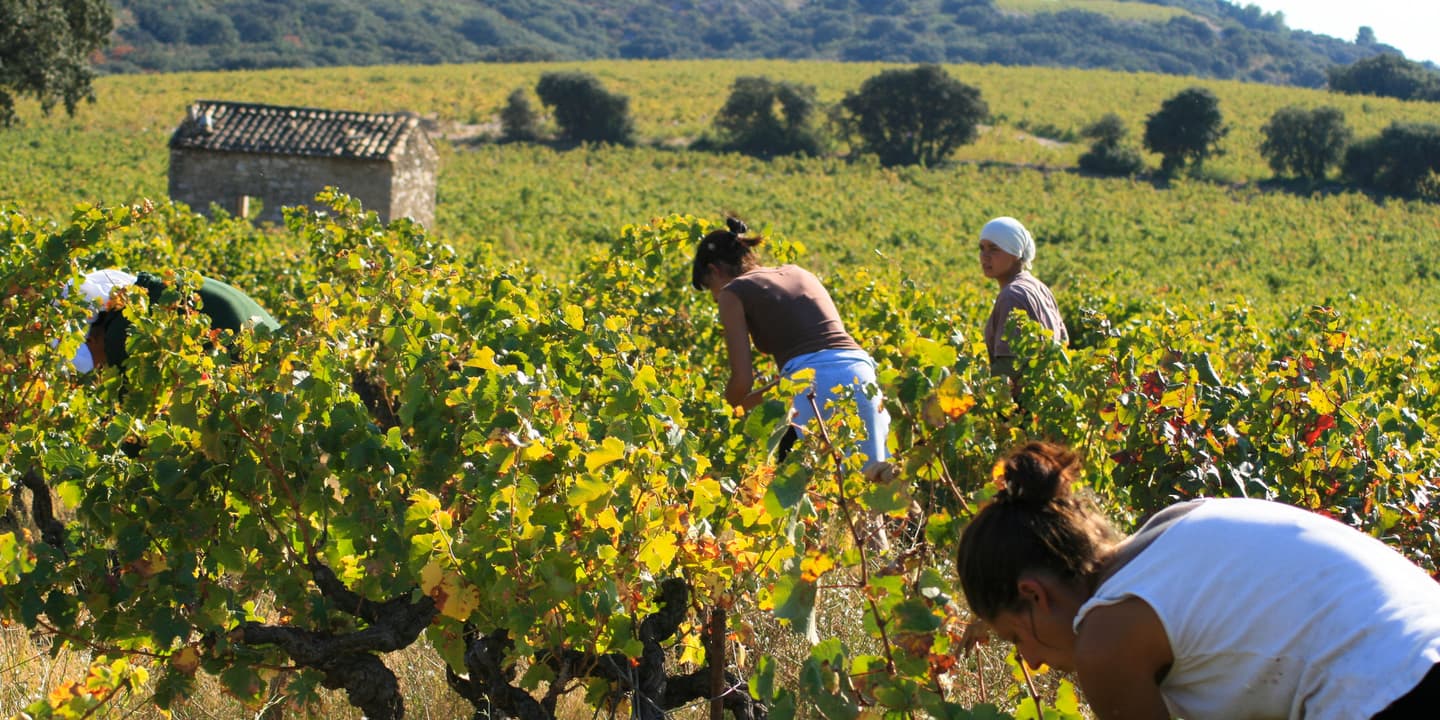 flickr.com / Jean-Louis Zimmerman