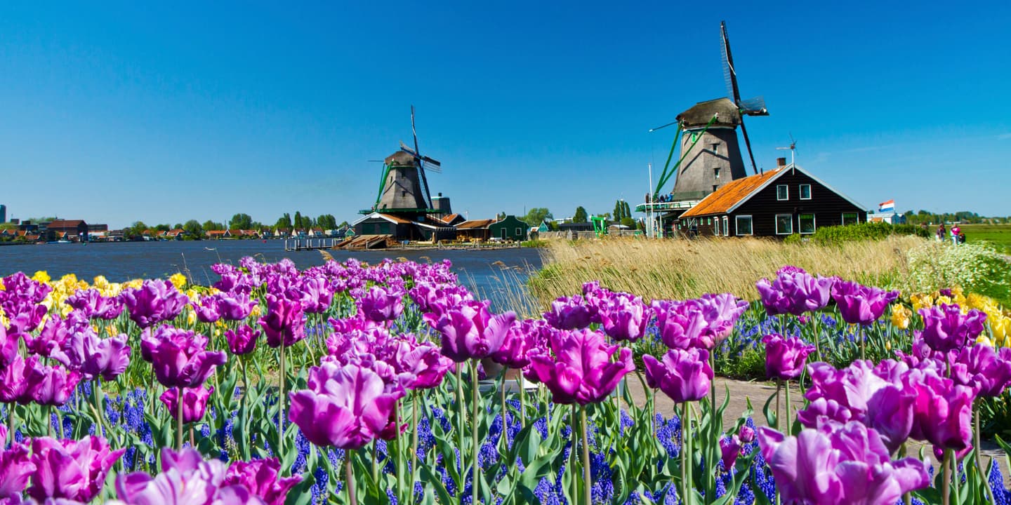 iStock.com / Isantilli