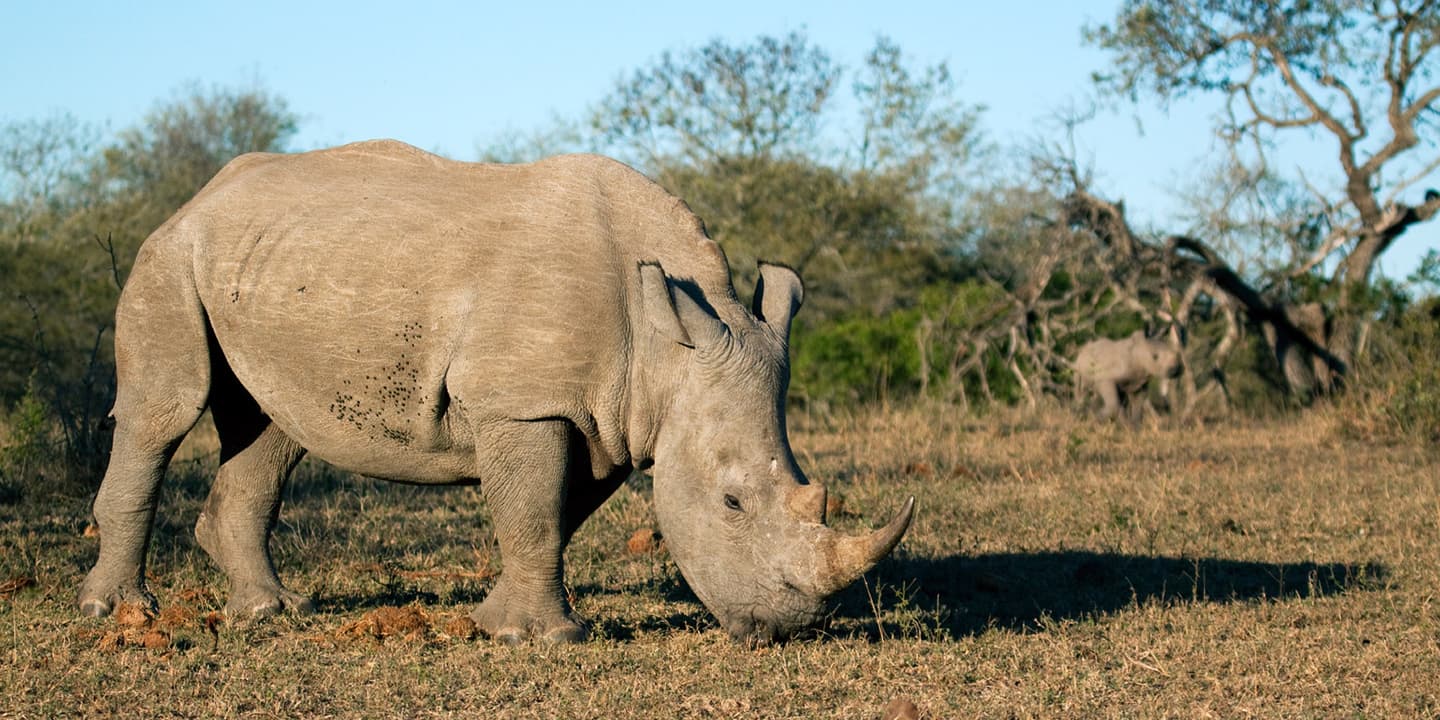 iStock.com / 2630ben