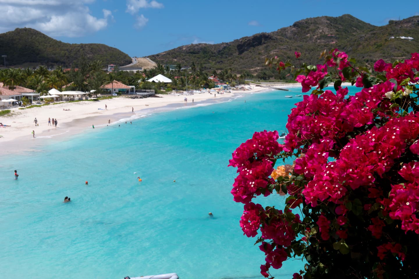 iStock.com / daniloforcellini