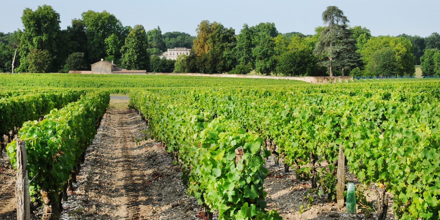 iStock.com / Pack-Shot