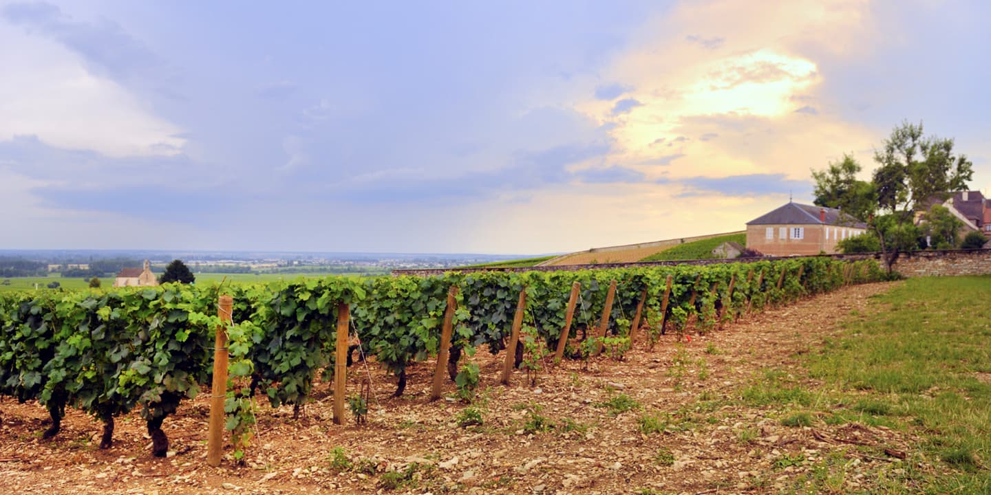 iStock.com / senaiaksoy